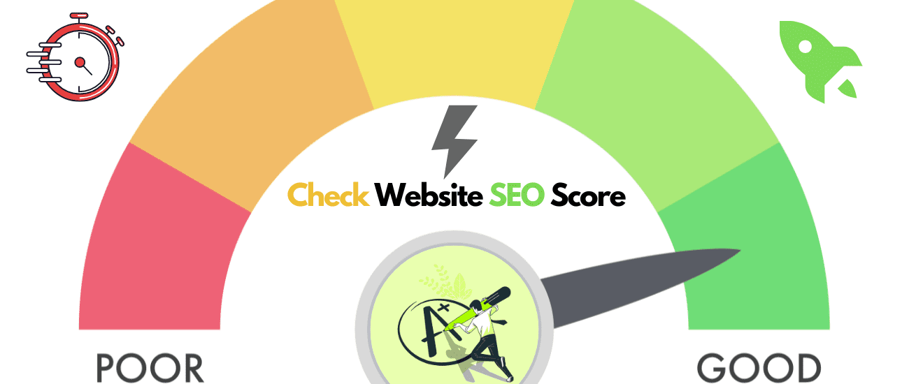 seo check