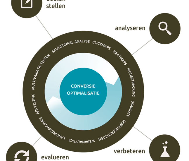 website optimalisatie kosten