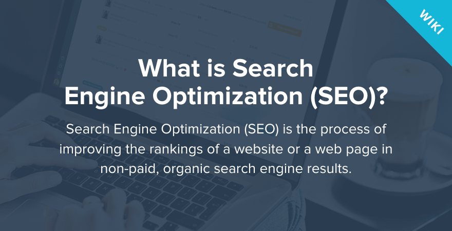 wat betekent search engine optimization